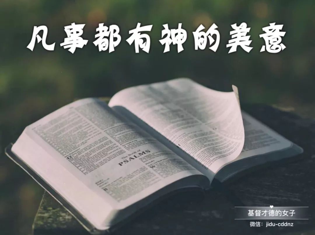 圣经手机阅读版下载圣经朗读手机版最新版本-第2张图片-太平洋在线下载