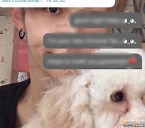 lysn安卓版lysn电脑版下载官方
