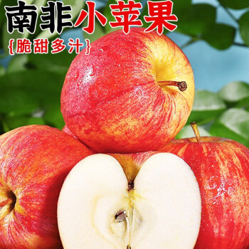 小苹果加高版小苹果影视官网入口-第2张图片-太平洋在线下载